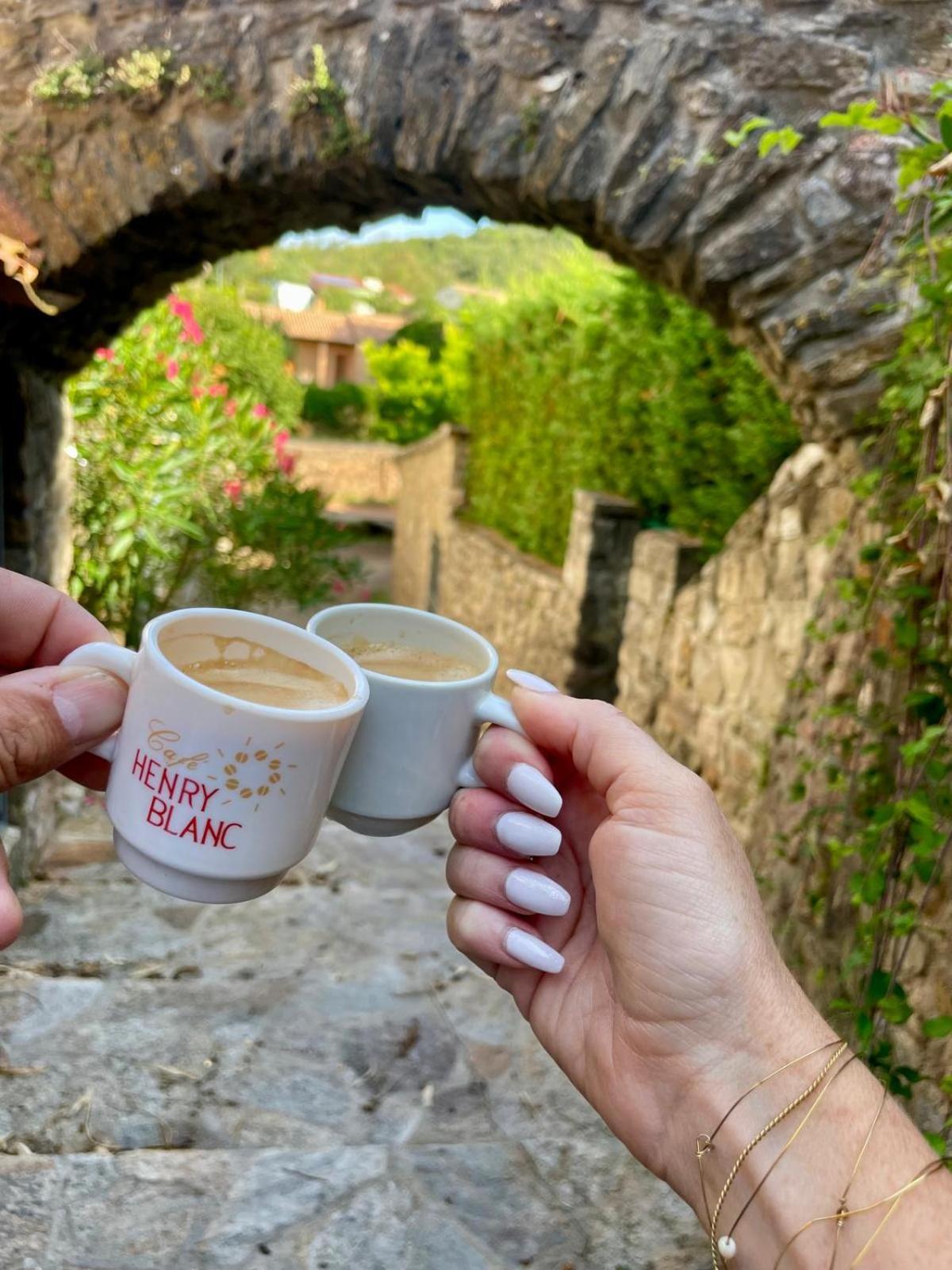 فندق Moulin Gaillard Bédarieux المظهر الخارجي الصورة