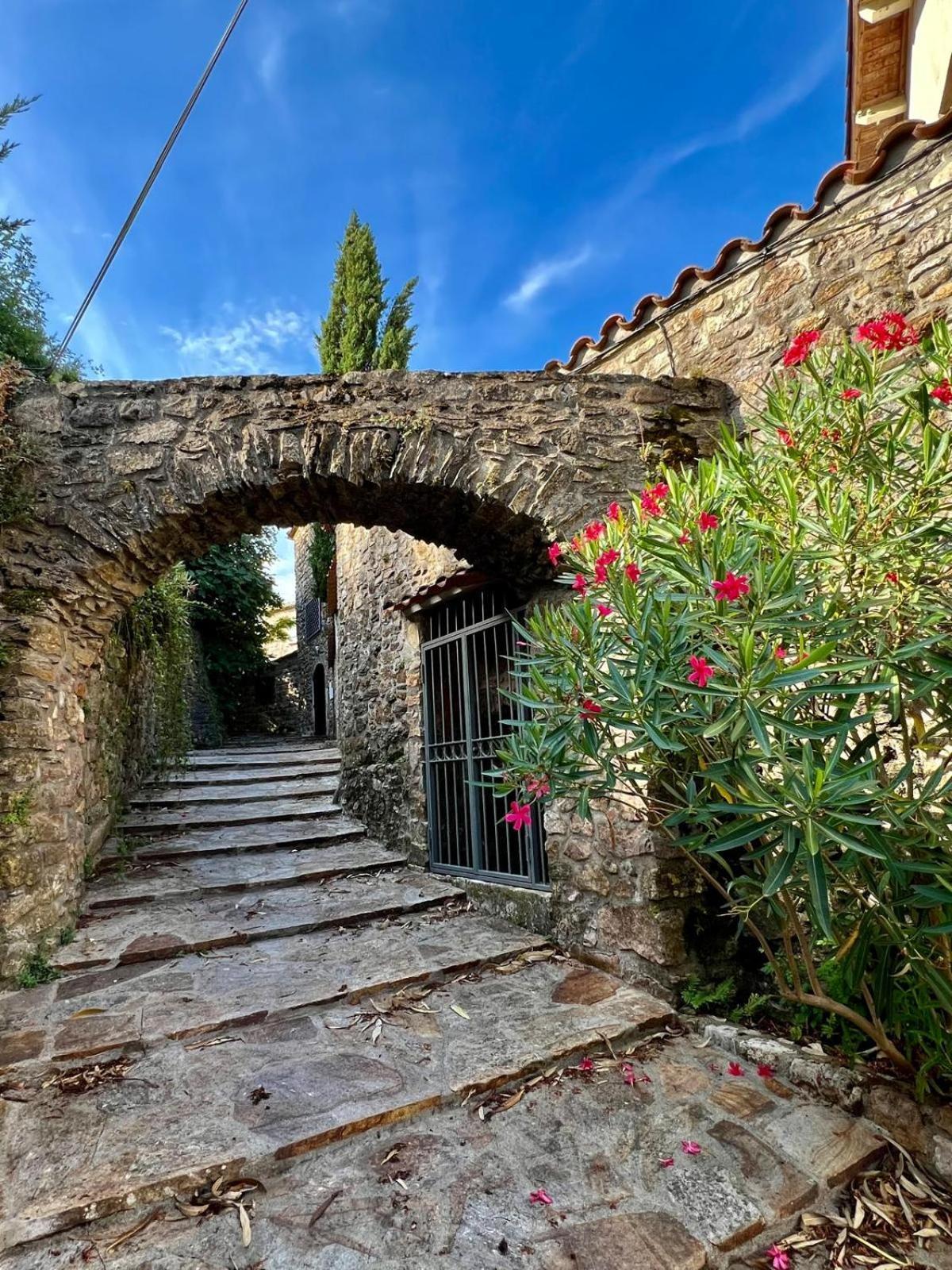 فندق Moulin Gaillard Bédarieux المظهر الخارجي الصورة