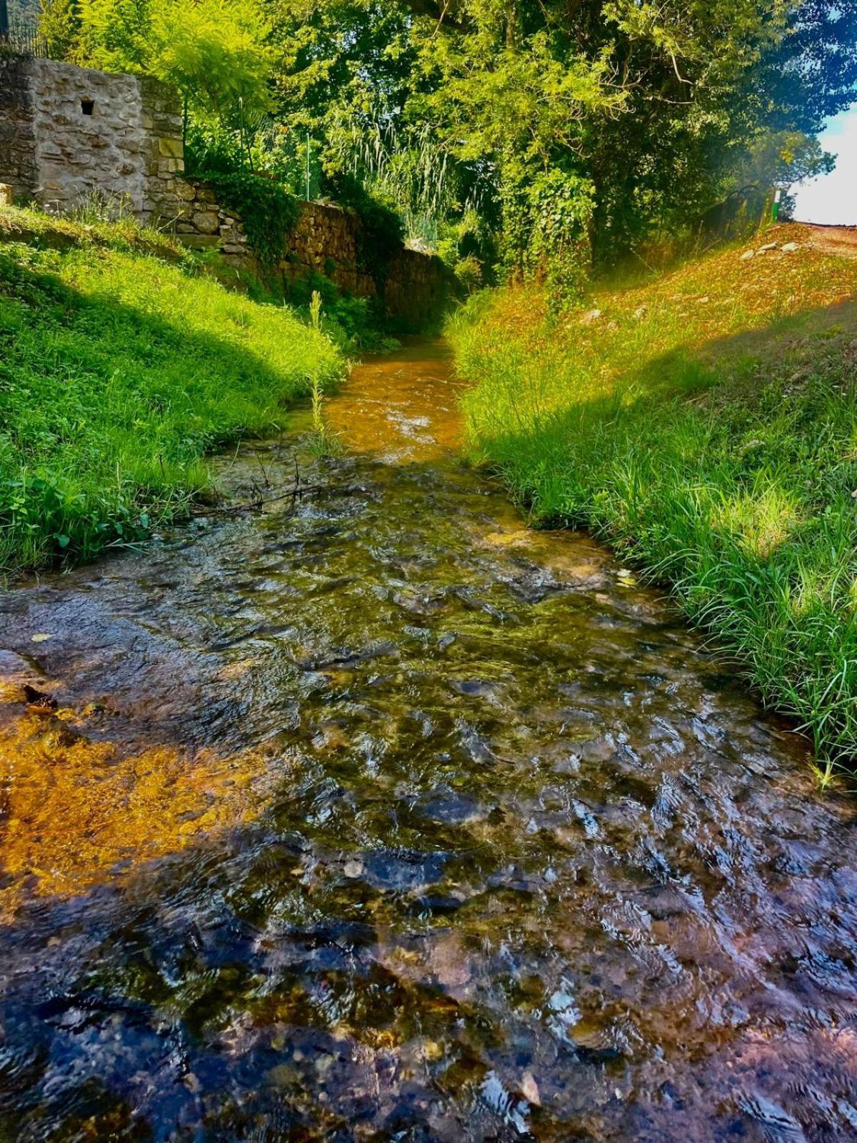 فندق Moulin Gaillard Bédarieux المظهر الخارجي الصورة
